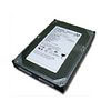 Seagate NL35 Series - ST3400832NS Seagate NL35 Series - ST3400832NS